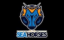 SEA HORSES